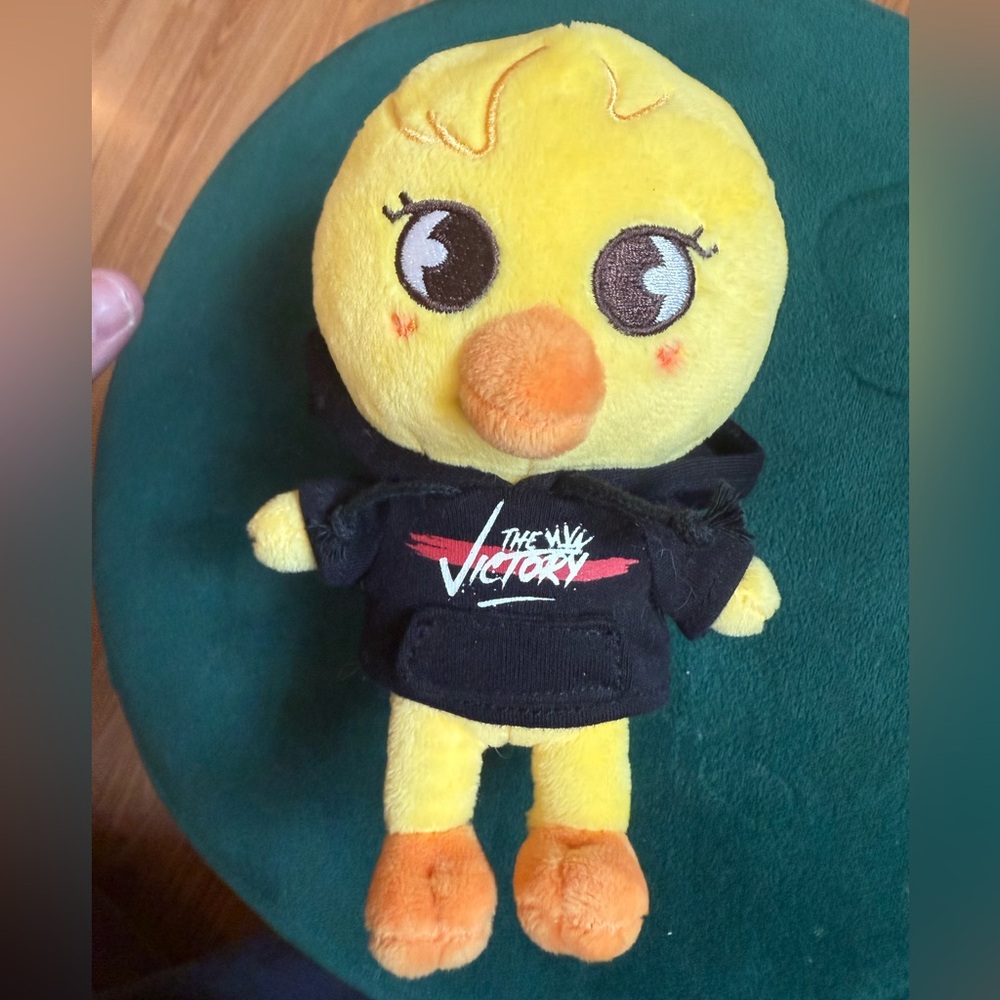 BbokAri ~ SKZOO Victory Mini Plush